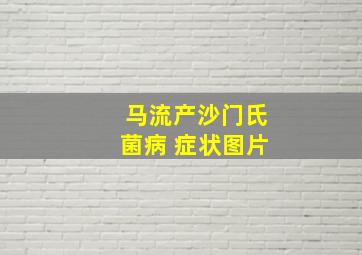 马流产沙门氏菌病 症状图片